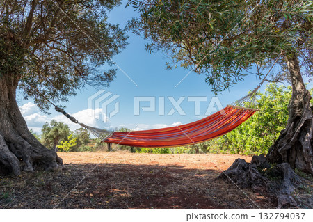 Calm resting place beneath foliage, Peaceful Mediterranean refuge for relaxation and peace, Serene outdoor environment ideal for unwinding and refreshing oneself 132794037