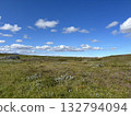 The beautiful land of southern Iceland, with grasslands, mountains in the distance, blue sky and clouds. 132794094