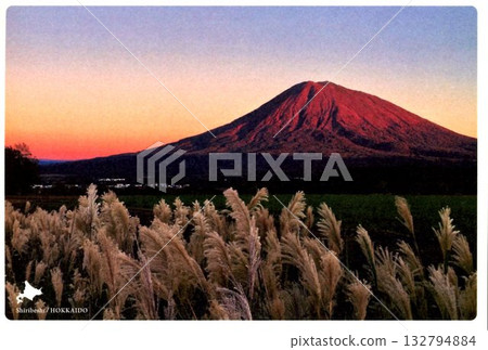 Sarobetsu wilderness 132794884