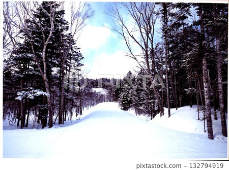 Winter landscape 132794919