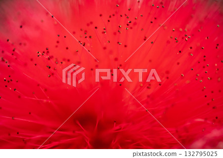 紅色卡利安道爾 132795025