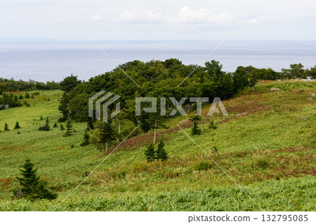 Lake Shiretoko 5 in autumn 132795085