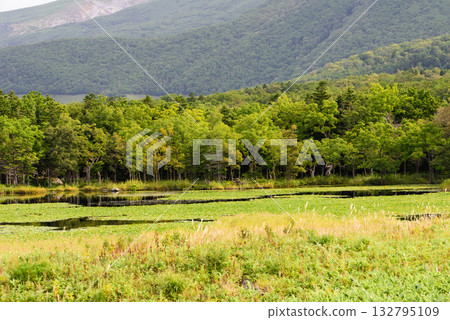 Lake Shiretoko 5 in autumn Lake Shiretoko 5 in autumn 132795109