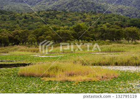 Shiretoko湖5在秋天 132795119
