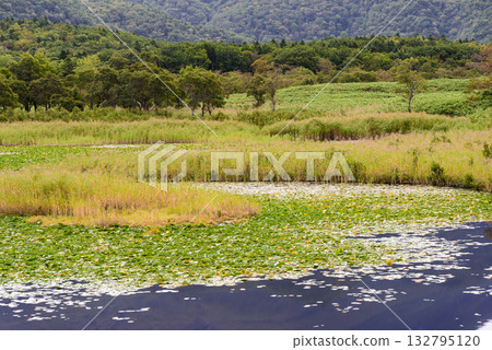 Shiretoko湖5在秋天 132795120