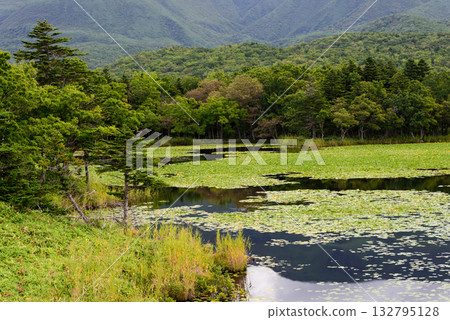 Shiretoko湖5在秋天 Shiretoko湖5在秋天 132795128