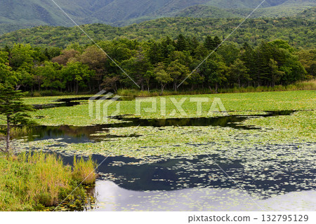 Shiretoko湖5在秋天 Shiretoko湖5在秋天 132795129