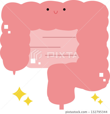 健康腸道的插圖 132795344
