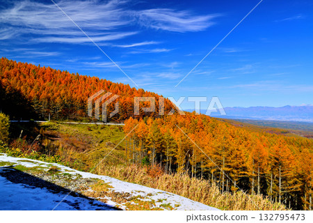 童話公路：清晨薄霧籠罩下的佐久市，以及從山口眺望的秋葉美景。 132795473