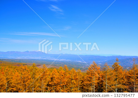 童話公路：清晨薄霧籠罩下的佐久市，以及從山口眺望的秋葉美景。 132795477