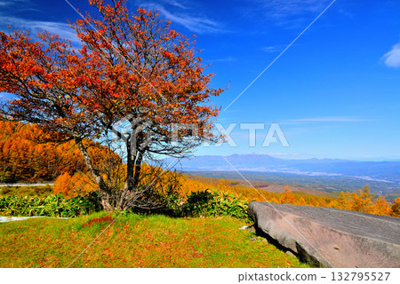 童話公路:清晨薄霧籠罩下的佐久市,以及從山口眺望的秋葉美景。 童話公路:清晨薄霧籠罩下的佐久市,以及從山口眺望的秋葉美景。 132795527