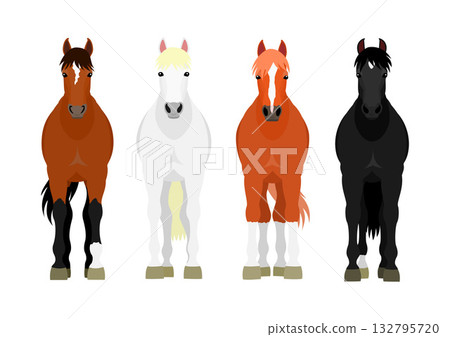 Illustration of four horses from the front 132795720