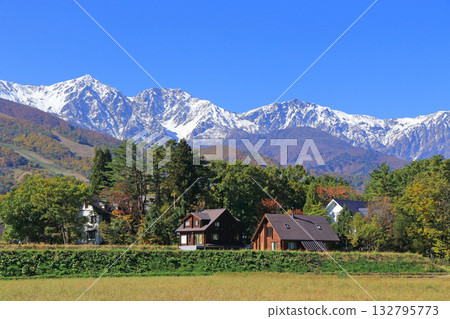Three-tiered autumn foliage at the foot of Mt. Hakuba 132795773