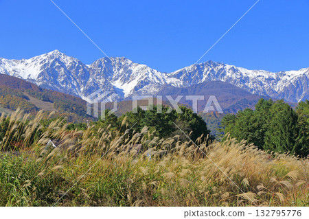 Three-tiered autumn foliage at the foot of Mt. Hakuba 132795776