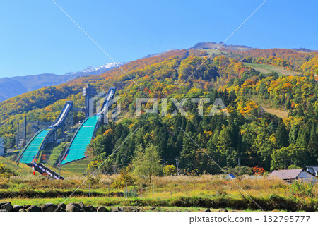 Autumn leaves at the foot of Mt. Hakuba Autumn leaves at the foot of Mt. Hakuba 132795777