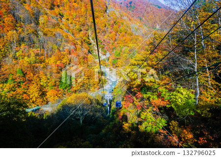 A gondola ride down a valley of autumn leaves 132796025