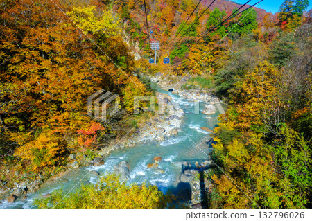 Autumn leaves on the Futai River and a gondola 132796026