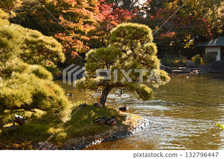 秋天的花園 秋天的花園 132796447