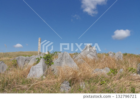 Akiyoshidai with dead grass in the spring of 2025, Mt. Tsurugi Akiyoshidai with dead grass in the spring of 2025, Mt. Tsurugi 132796721