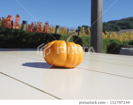 Pumpkin on the table 132797144