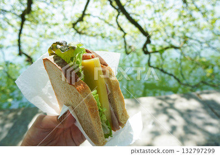 在公園吃自製火腿、起司和生菜三明治 在公園吃自製火腿、起司和生菜三明治 132797299