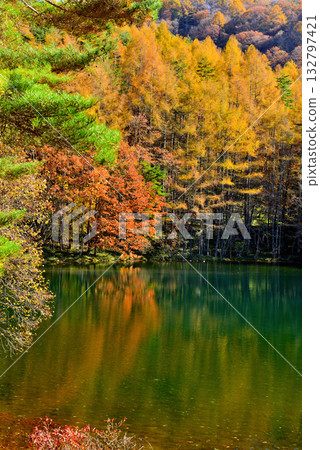 信州奧柘志：三夏池神秘的秋葉 132797421