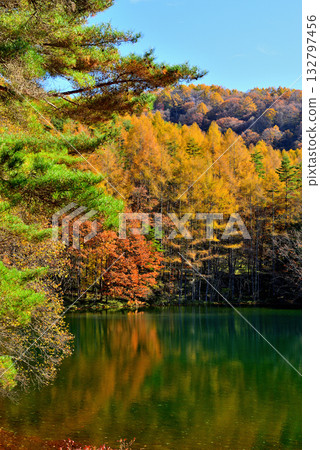 Shinshu Okutateshina: The mysterious autumn leaves of Mishaka Pond 132797456