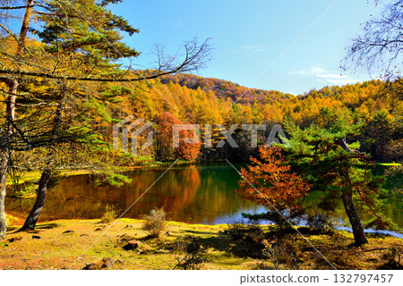 Shinshu Okutateshina: The mysterious autumn leaves of Mishaka Pond 132797457
