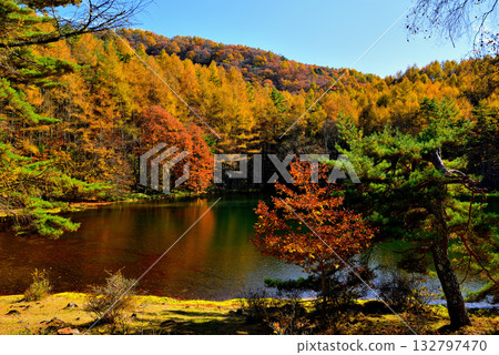 Shinshu Okutateshina: The mysterious autumn leaves of Mishaka Pond Shinshu Okutateshina: The mysterious autumn leaves of Mishaka Pond 132797470
