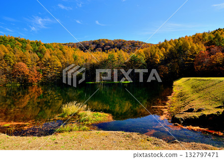 Shinshu Okutateshina: The mysterious autumn leaves of Mishaka Pond 132797471