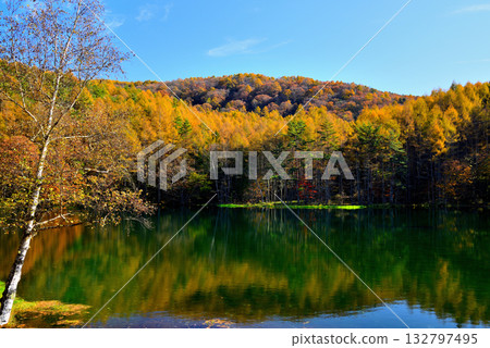 信州奧柘志：三夏池神秘的秋葉 132797495