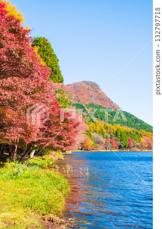 Mount Haruna, Lake Haruna, and Mount Eboshigatake (Autumn) 132797718