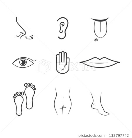 human body parts icon human body parts icon 132797742