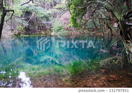 The emerald blue of Maruike Pond, a mysterious pond nestled at the foot of Mount Chokai in Yamagata Prefecture 132797931