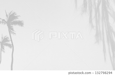 Shadow Background Abstract Leave Overlay Wall Floor Light Effect White Plant Sunlight Backdrop Mockup Minimal Spring Summer Nature Grey blur Photography Scene Template Poster Card Frame Product. Shadow Background Abstract Leave Overlay Wall Floor Light Effect White Plant Sunlight Backdrop Mockup Minimal Spring Summer Nature Grey blur Photography Scene Template Poster Card Frame Product. 132798294