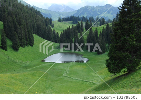 Water Pond at Rural area Switzerland Water Pond at Rural area Switzerland 132798505