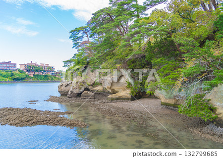 松島縣宗浦島的海岸線 松島縣宗浦島的海岸線 132799685
