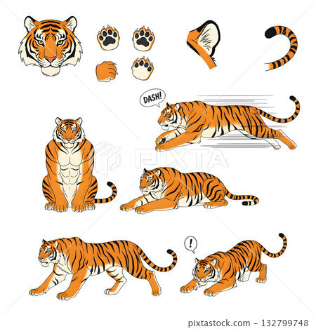Set of tiger character. illustration design. 132799748