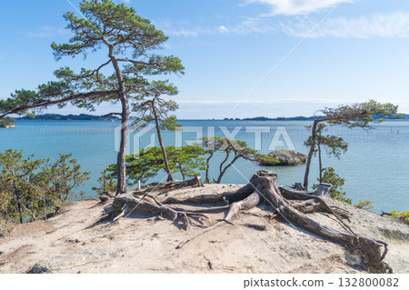 Horseback scenery of Matsushima in Miyagi Prefecture, Japan 132800082