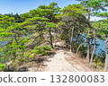 Horseback scenery of Matsushima in Miyagi Prefecture, Japan 132800083