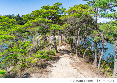 日本宮城縣松島的騎馬景色 日本宮城縣松島的騎馬景色 132800083