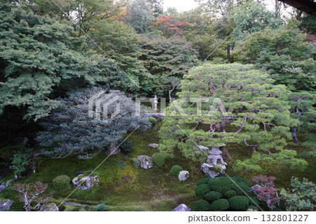 從坂本舊竹林院二樓眺望花園景色 132801227