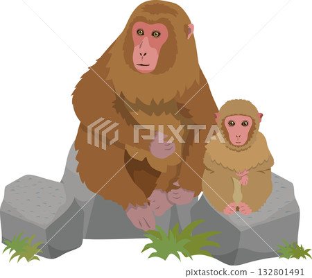 A monkey sitting on a stone A monkey sitting on a stone 132801491