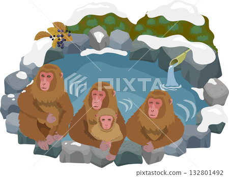 A monkey entering a hot spring A monkey entering a hot spring 132801492