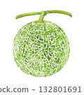 Watercolor melon 132801691