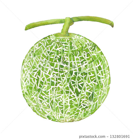 水彩甜瓜 水彩甜瓜 132801691