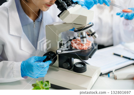 Two Asian scientists in a lab conducting food research using a microscope and lab equipment, showcasing innovation in food science 132801697
