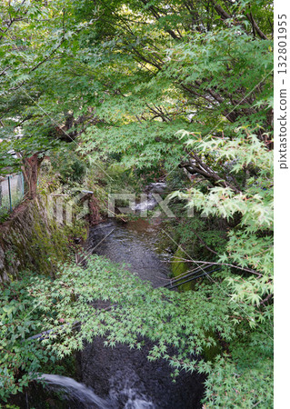 京都大原邪光院週邊景色 132801955