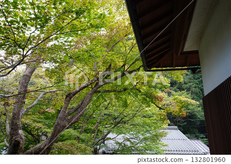 Scenery around Jakkoin Temple in Ohara, Kyoto Scenery around Jakkoin Temple in Ohara, Kyoto 132801960