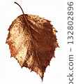 Textured dried birch leaf element 132802896